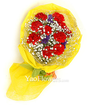 9 red carnations
