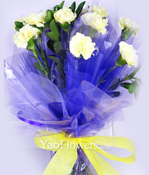 12 yellow carnations