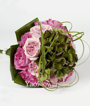 20 Purple roses with green foliages
