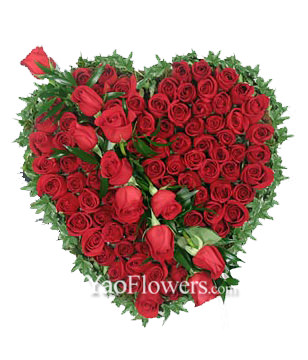 66 red roses,heart-shaped
