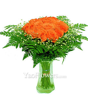 19 Pink roses as round with green foliages