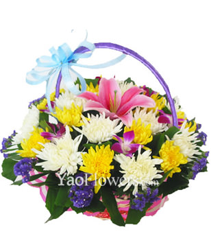 11 yellow chrysanthemums, white chrysanthemums 11