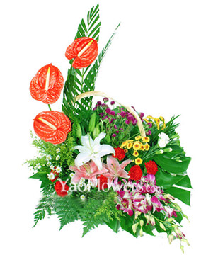 3 flamingo flowers, white lily, 6 red carnations