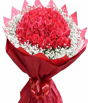 66 Hot red roses wrapped by red circular cotton paper