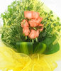 9 pink roses