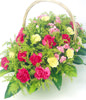 20 Pink Carnations,10 Yellow Carnations