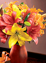 Royal Autumn Lilies