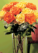 Thanksgiving Roses