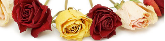 How to Microwave Dry Flowers