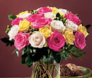 Two Dozen Roses