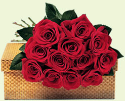 Rose meanings