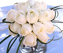 Roses for Occasion