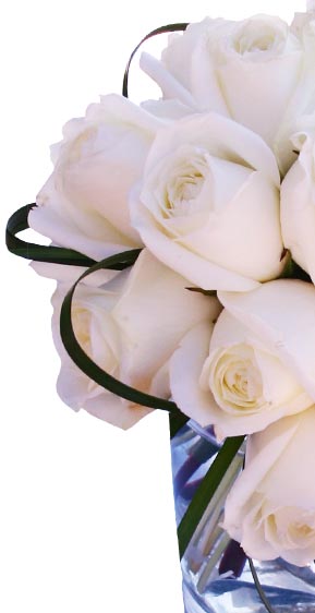 Roses for occasions