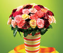 Petite Roses