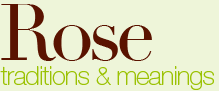 Rose traditions and Meanings