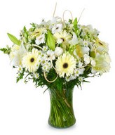 White Elegance: white lilies and gerberas