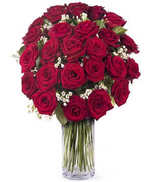 24 red roses