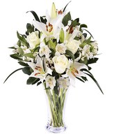 Innocent Love: lilies and white roses