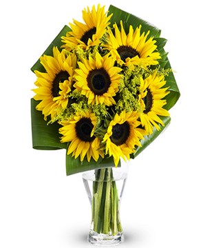 Yellow sunflowers mixed with Solidago and assorted greenery