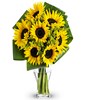 Yellow sunflowers mixed with Solidago and assorted greenery