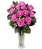 12 pink roses
