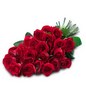 Infinite Love: 25 red roses