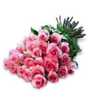 Tender Sweetness: 25 pink roses