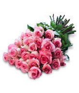 Tender Sweetness: 25 pink roses