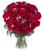 True Love: 45 Roses
