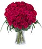 Fragrant Love: 50 Roses