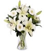 White lilies & gerberas
