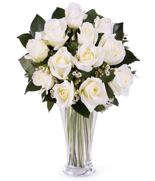 12 white roses