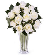 Pure and Innocent Love: 12 white roses