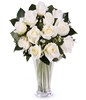 12 white roses
