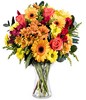 Mango: orange and yellow gerberas