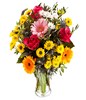 Roses and gerberas