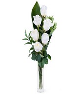 Friendship: 6 white roses