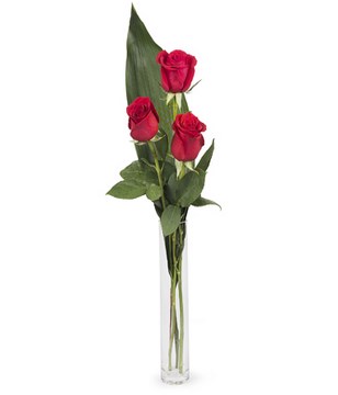 3 red roses