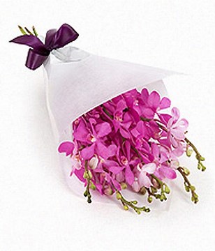 Bunch of Pink tropical Orchids