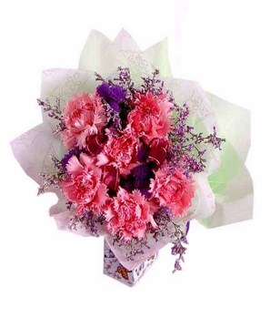 Bouquet of Pink Carnations