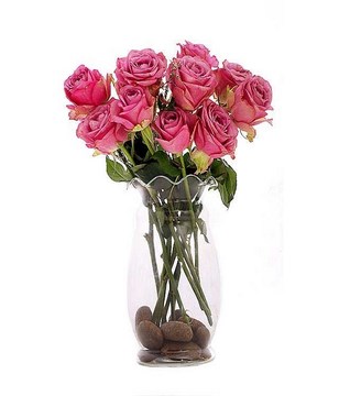 12 Pink Roses In A Vase