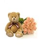 Dozen Peach Roses and a Bear