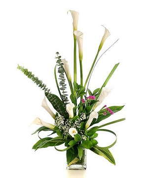 10 White Calla Lilies in a Vase