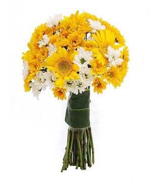 Yellow Gerberas, Yellow and White Daisies in a bouquet