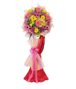 Colourful Gerberas Standing Flower