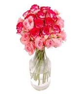 24 Pink and Two Tone Roses in vase
