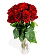 Bouquet of 12 Roses in Red