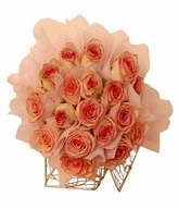 20 stalks centre pink roses in pink paper wrapping