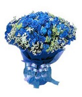 36 Blue Roses