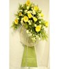 Yellow Daisy, Gerberas & More